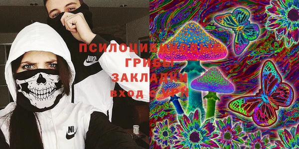 дживик Баксан